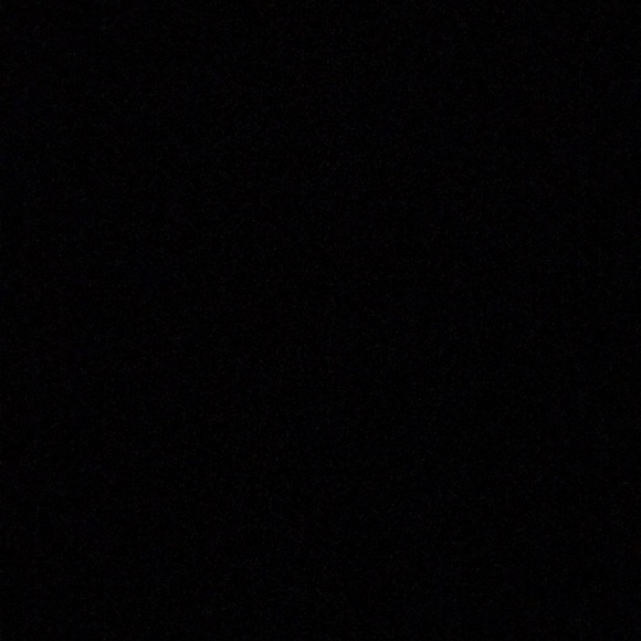 Meet your Posher, Priscilla - Picture 1 of 1